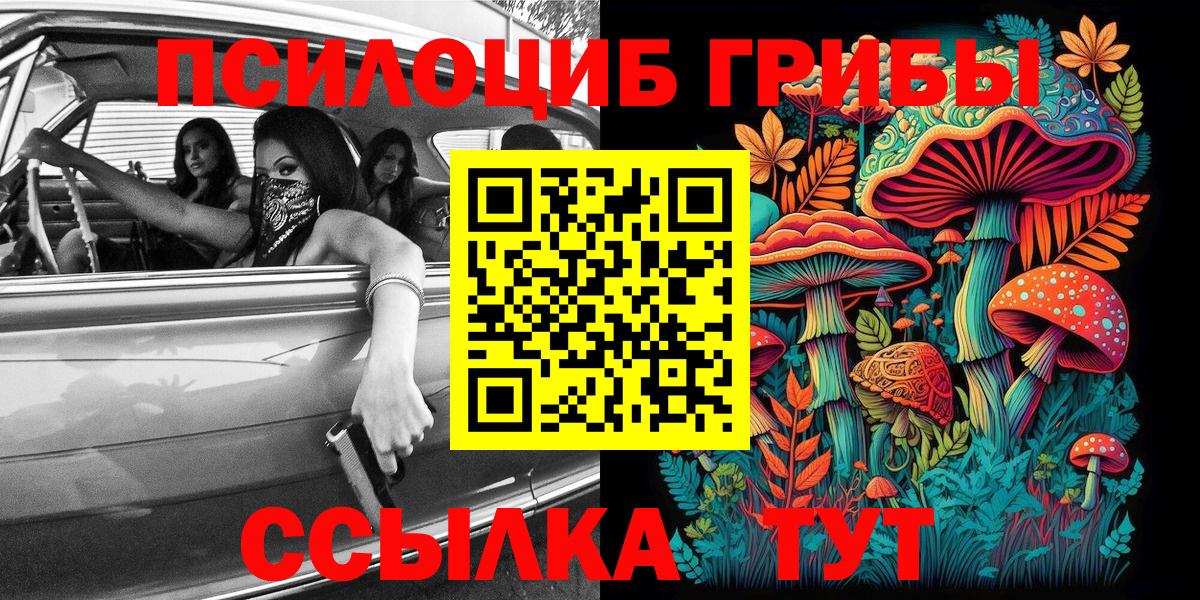 Галлюциногенные грибы Psilocybe Муравленко