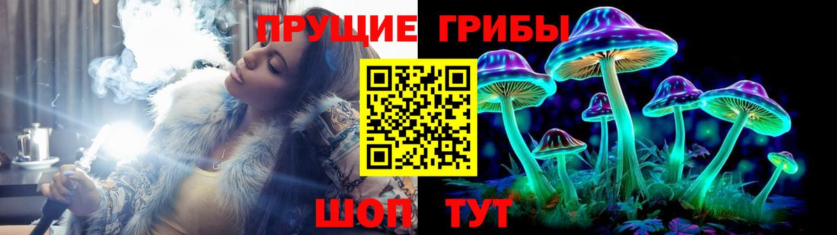 купить наркоту  Вход с VPN  Муравленко  Галлюциногенные грибы Psilocybe 